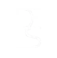 DELS